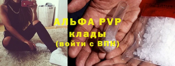 молекула духа Арсеньев