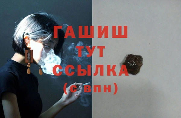 молекула духа Арсеньев