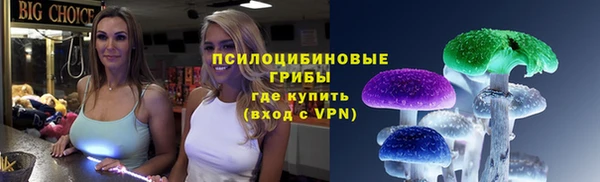 молекула духа Арсеньев