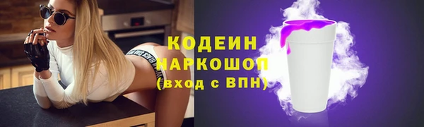 молекула духа Арсеньев