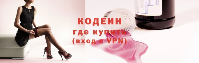 прущие грибы Кинешма