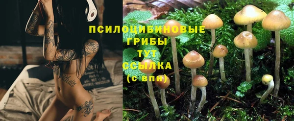 меф Аркадак