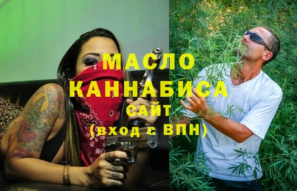 молекула духа Арсеньев