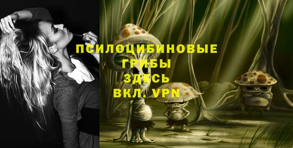 молекула духа Арсеньев