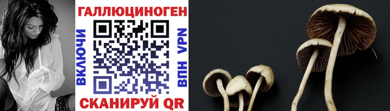 Псилоцибиновые грибы мухоморы  Старая Купавна 